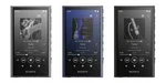 Sony Walkman NW-A306 NW-A307 Series Memory Type Black Blue Gray Music. Fixed Price $330.00.