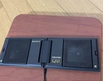 Sony SS-WM20 Folding Speaker, High Sound Quality, Output Confirmed. Fixed Price $162.99.