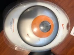 Phillips Nike Sport ACT400/17 Portable Audio MP3-CD Player Factory Sealed. Fixed Price $300.00.